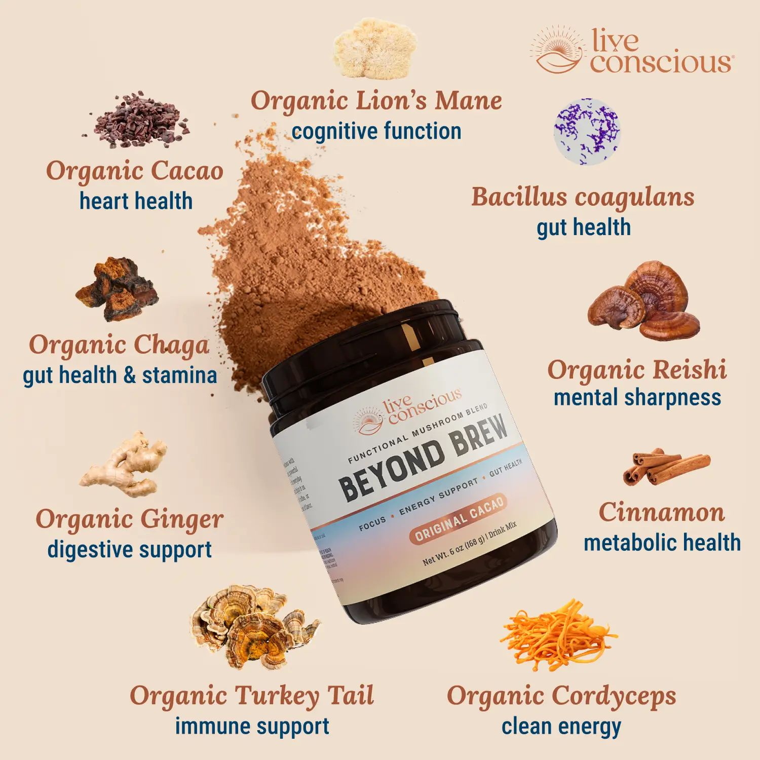 Beyond Brew - Image 4