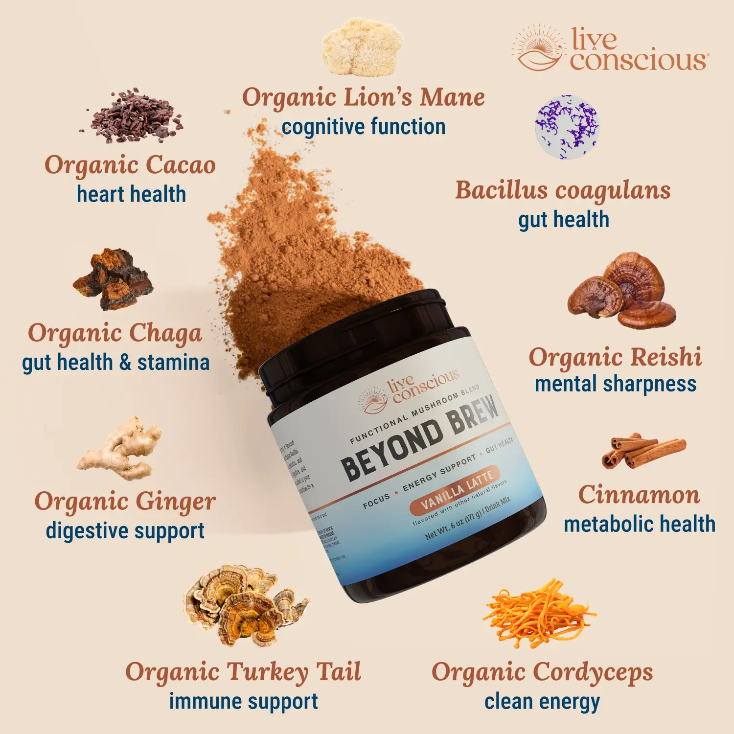 Beyond Brew Vanilla Latte - Image 4