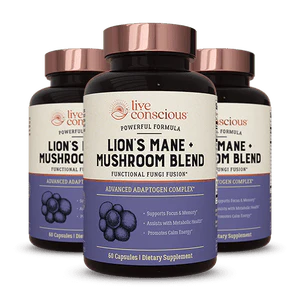 Lion's Mane + Mushroom Blend - Image 11