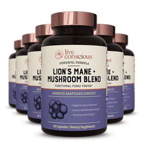 Lion's Mane + Mushroom Blend - Image 12