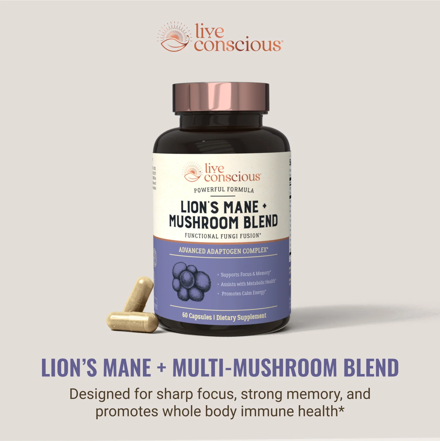 Lion's Mane + Mushroom Blend - Image 4