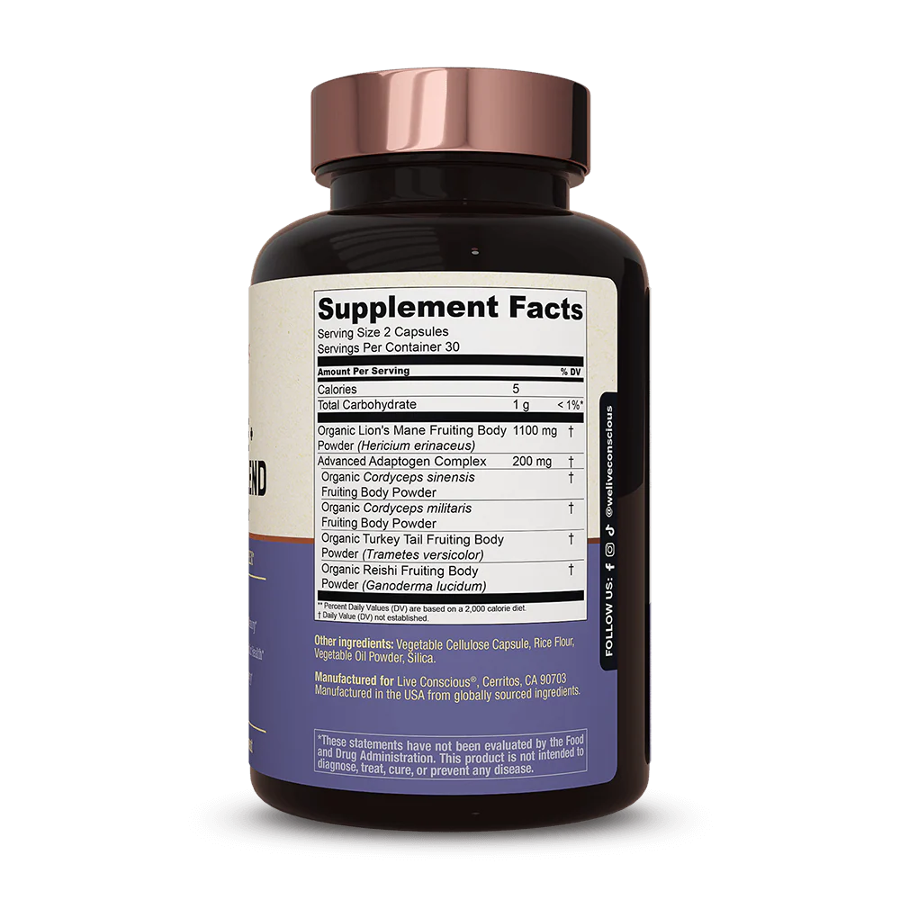 Lion's Mane + Mushroom Blend - Image 8