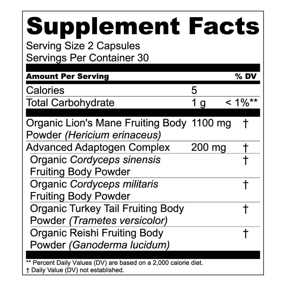 Lion's Mane + Mushroom Blend - Image 9